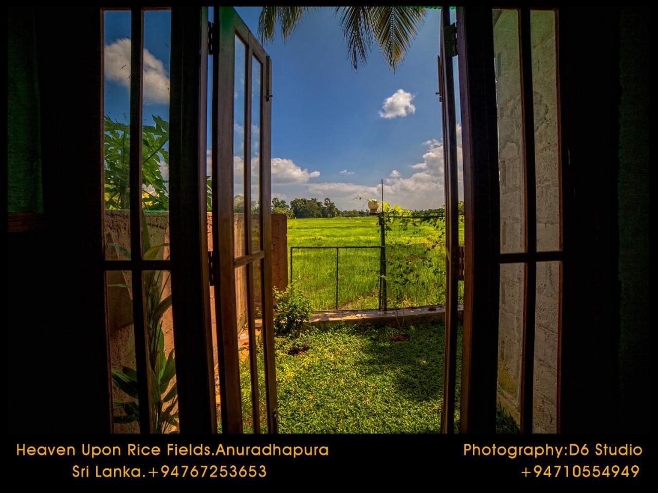 Bed and Breakfast Heaven Upon Rice Fields Anuradhapura Exterior foto