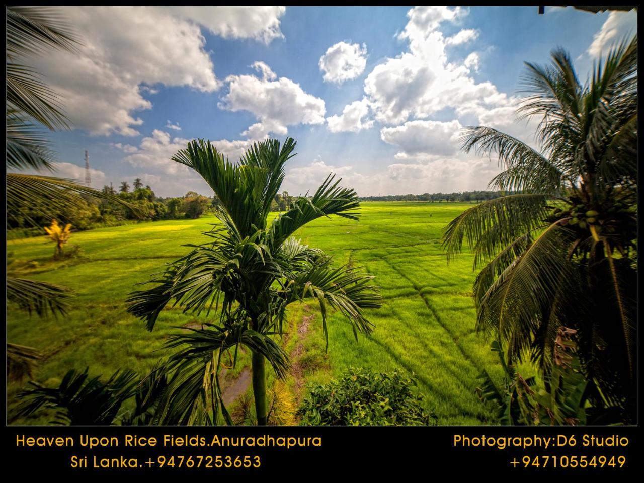 Bed and Breakfast Heaven Upon Rice Fields Anuradhapura Exterior foto